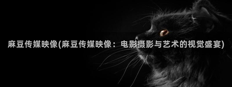 麻豆精品免费：麻豆传媒映像(麻豆传媒映像：电影摄影与艺术的视