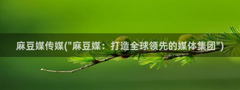 中文麻豆专区：麻豆媒传媒(\