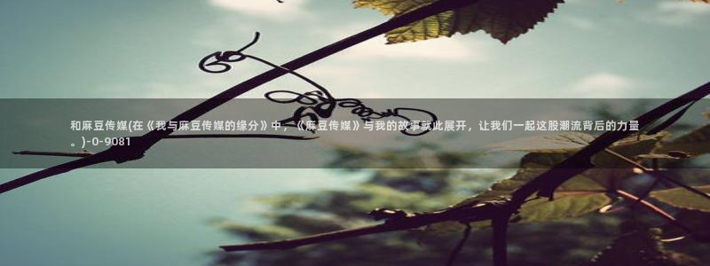 伊人久麻豆社区：和麻豆传媒(在《我与麻豆传媒的缘分》中，《麻