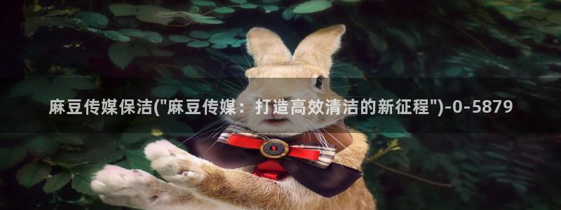 麻豆精品社区：麻豆传媒保洁(\