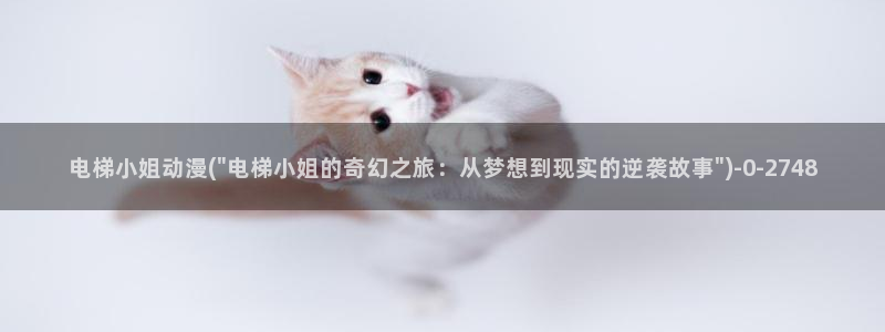 动漫岛