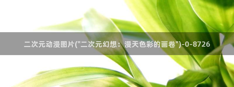 星星动漫网