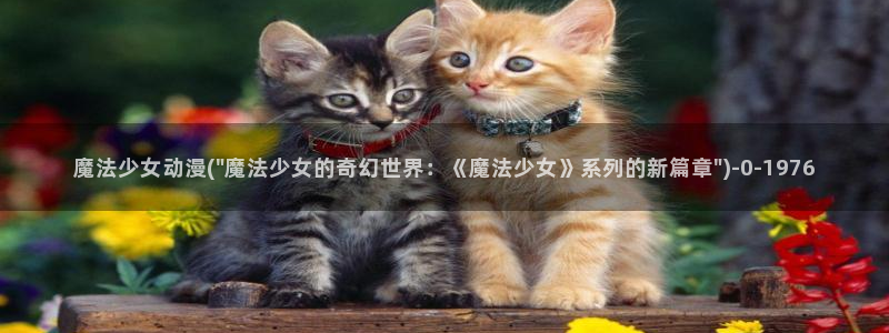 怡萱动漫