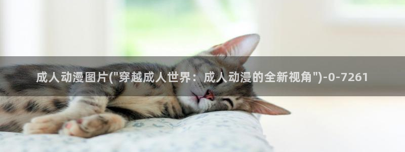 穿越动漫
