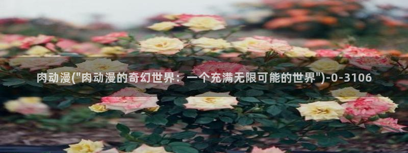 伦理动漫